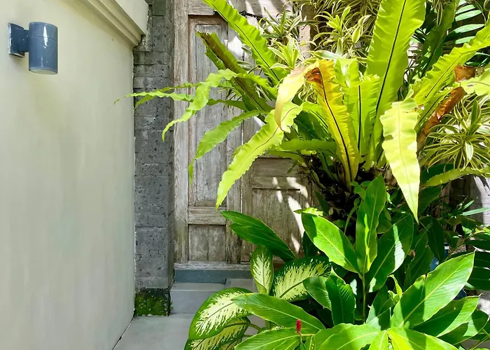 Sunny Scape Loft Canggu
